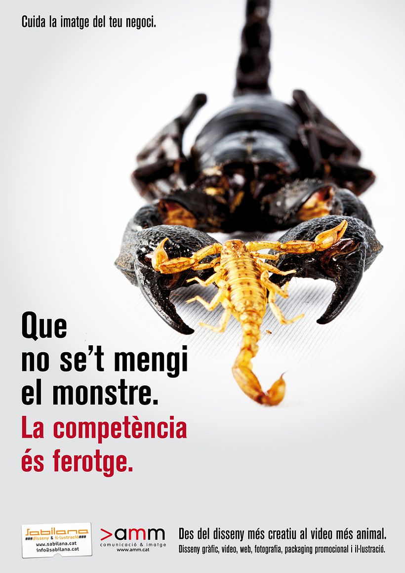 Anunci Promo 2013 1
