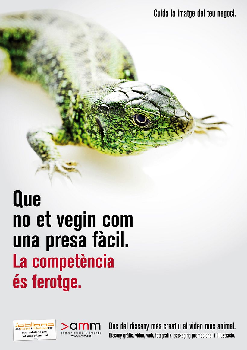 Anunci Promo 2013 2