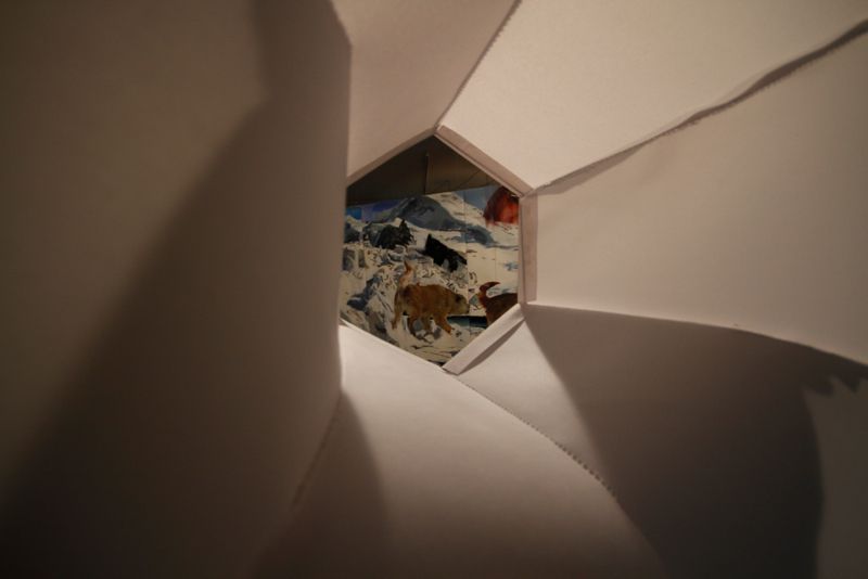 The Cabinet of Cándida Standwick 1