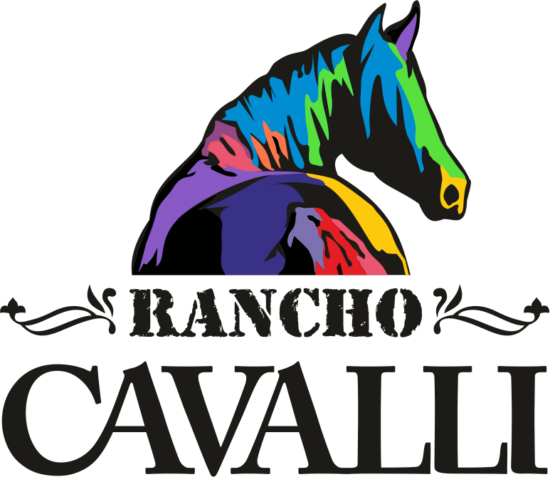 Cavalli Foundation 2
