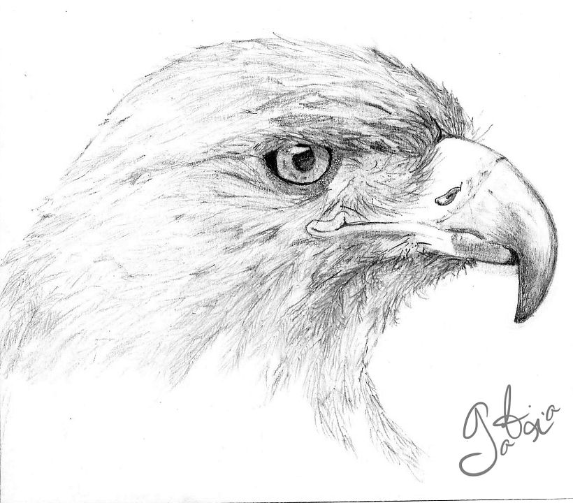 A1 3