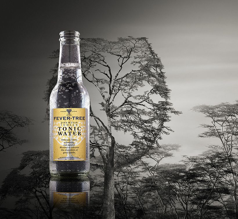 Fever Tree 1