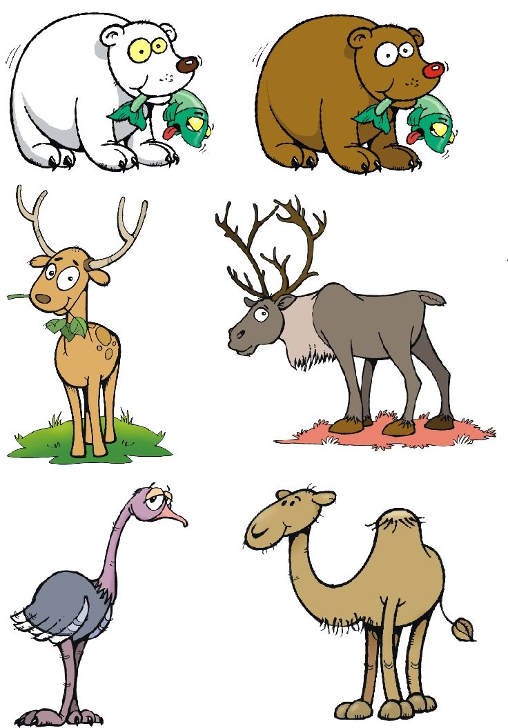Animalitos 8