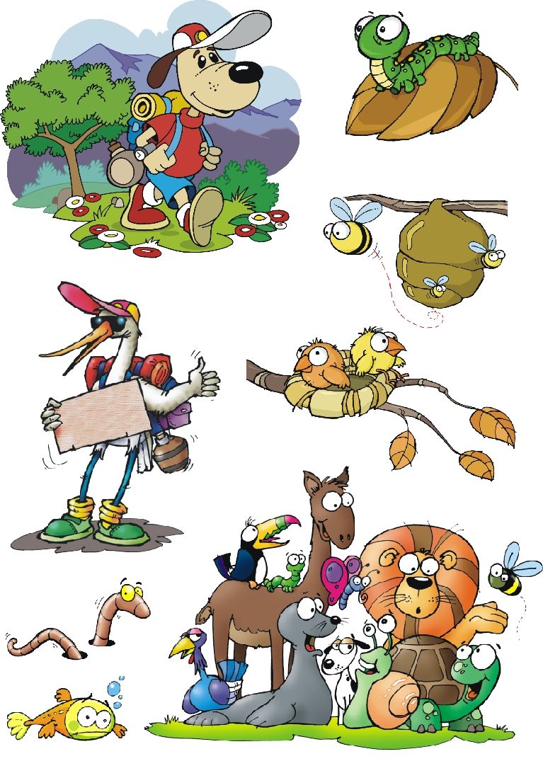 Animalitos 6