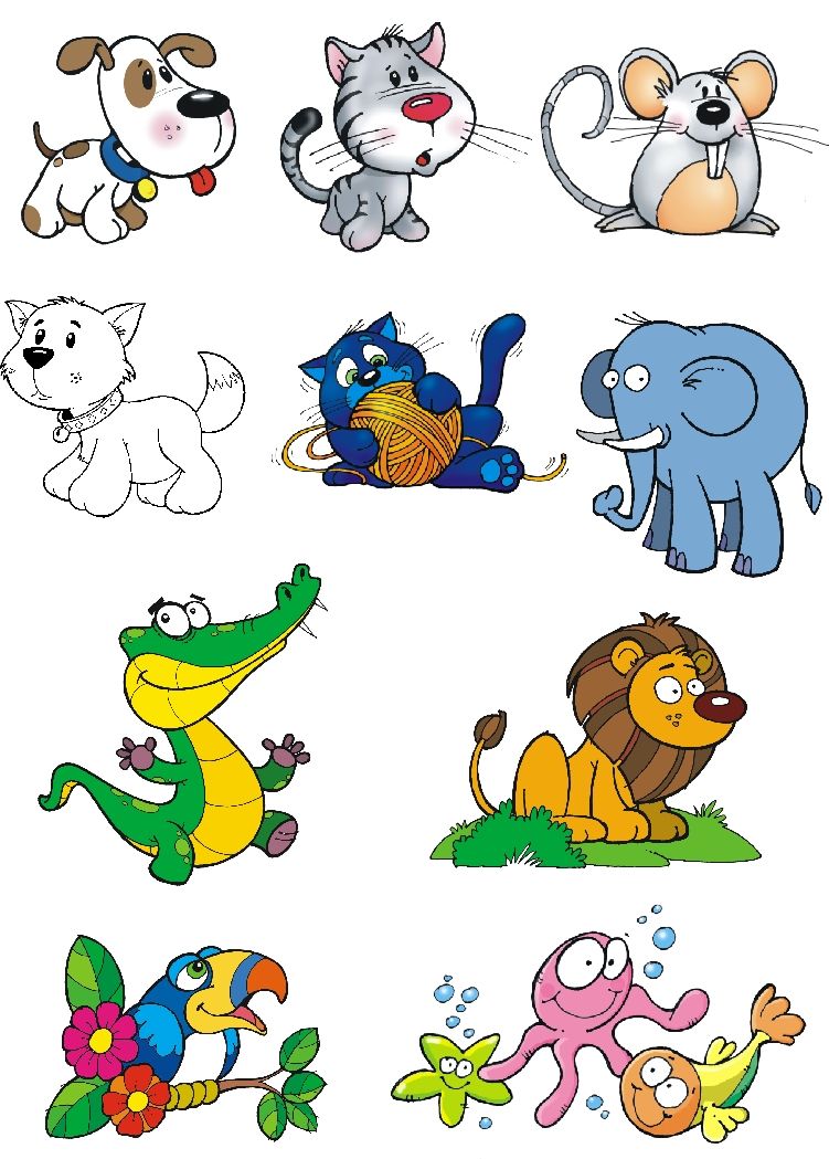 Animalitos 5