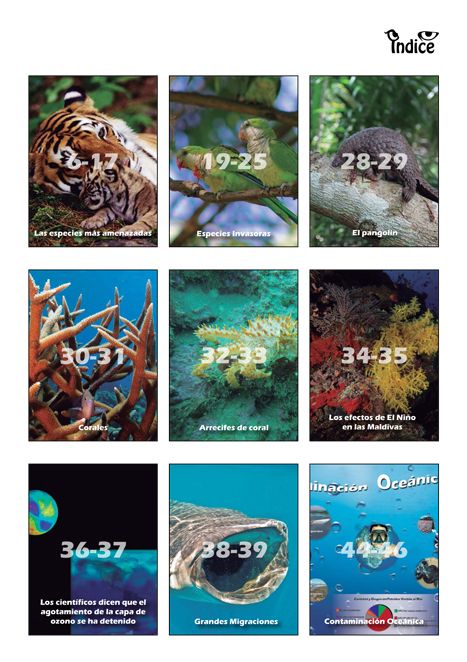 Indice de revista 2