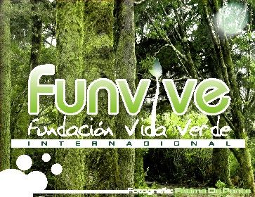 Funvive 1