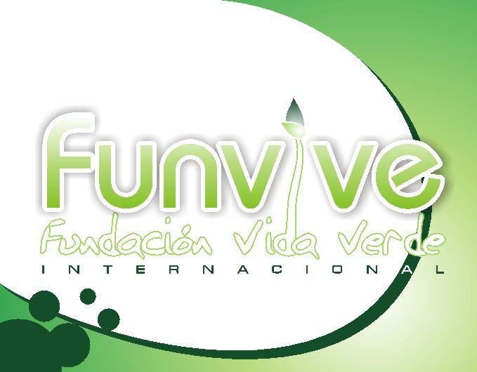 Funvive 3