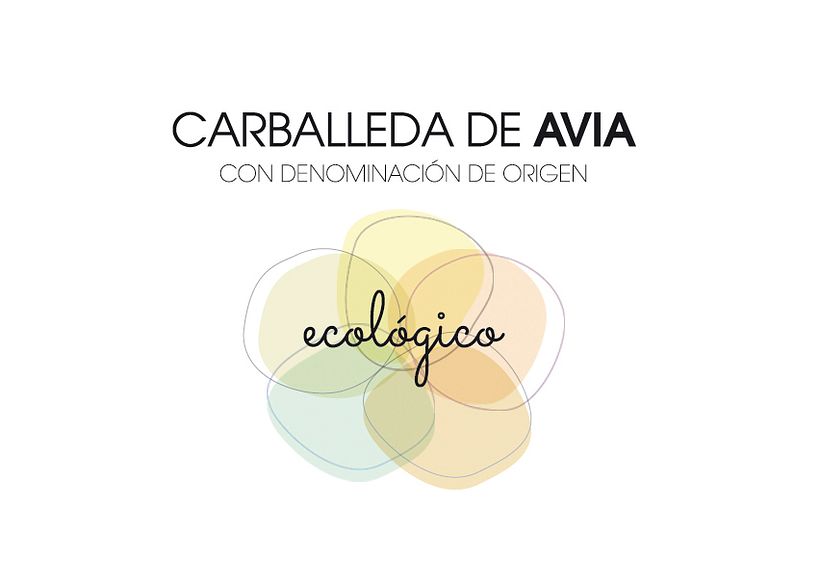 Carballeda de Avia 2