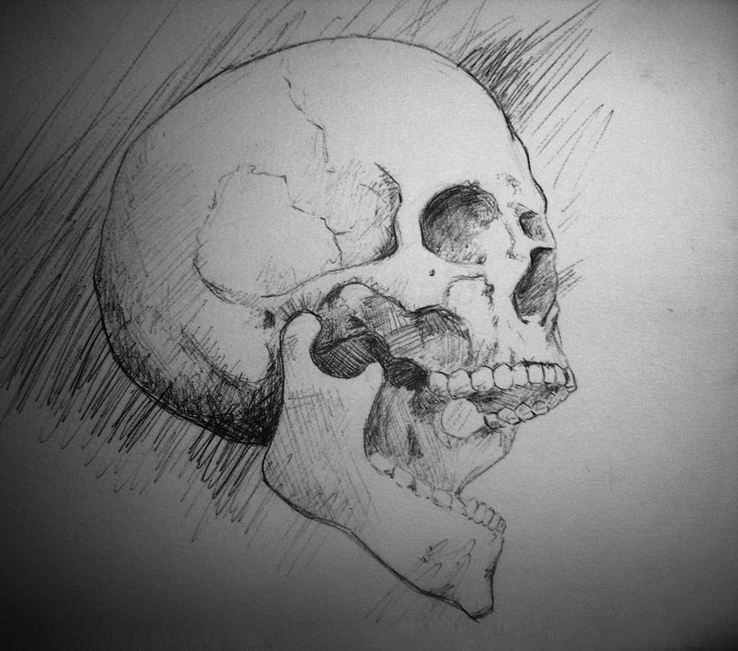 Skull 3