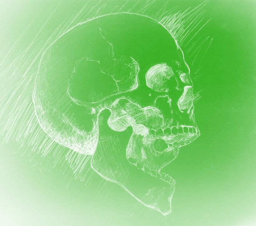 Skull 12