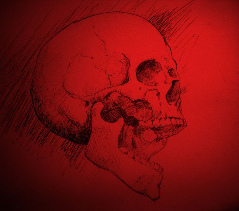 Skull 5