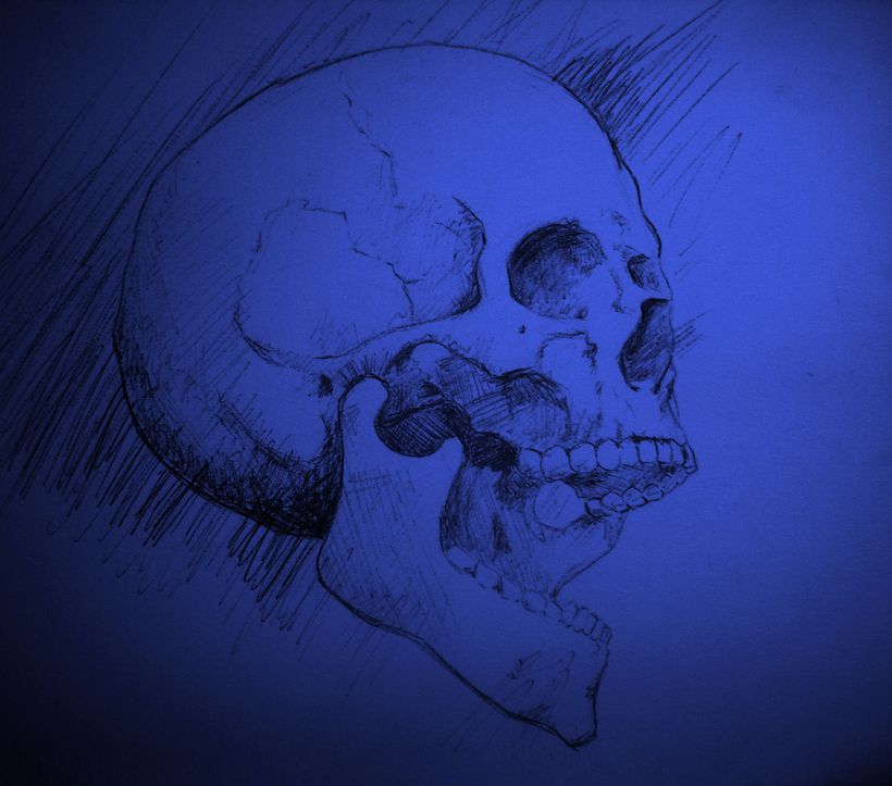 Skull 7
