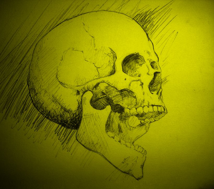 Skull 9