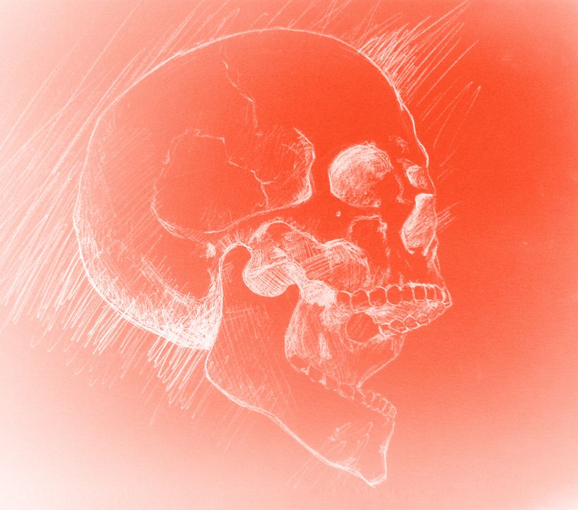Skull 6