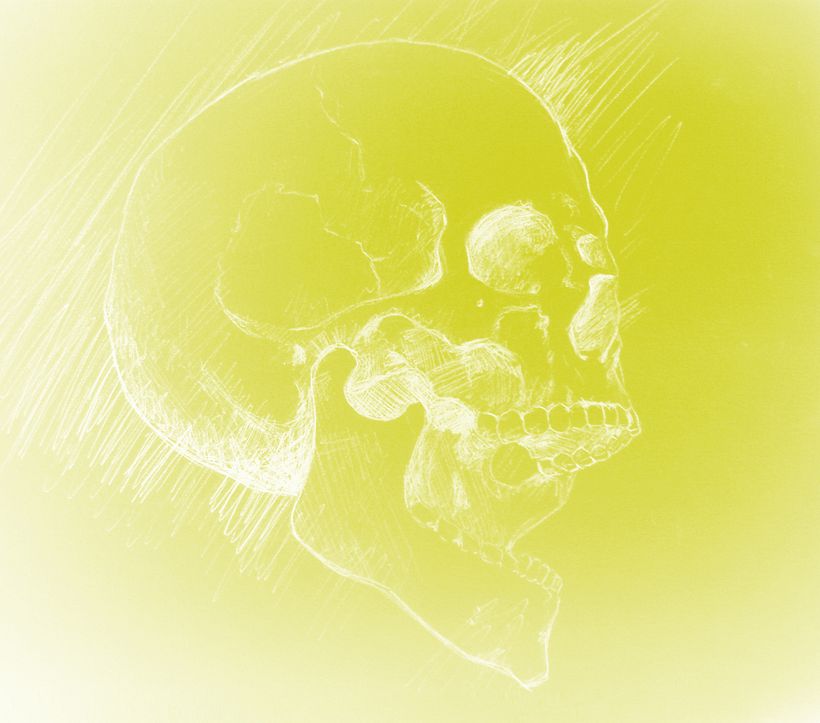 Skull 10