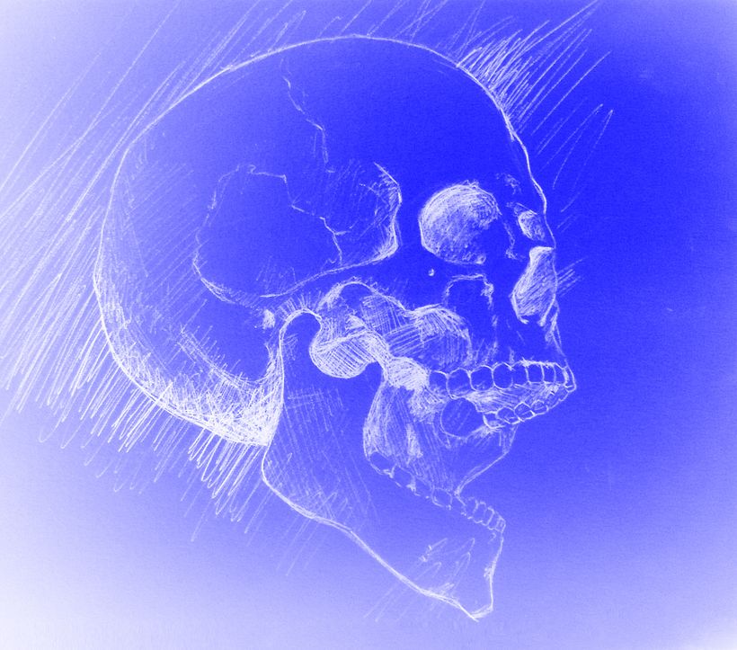 Skull 8