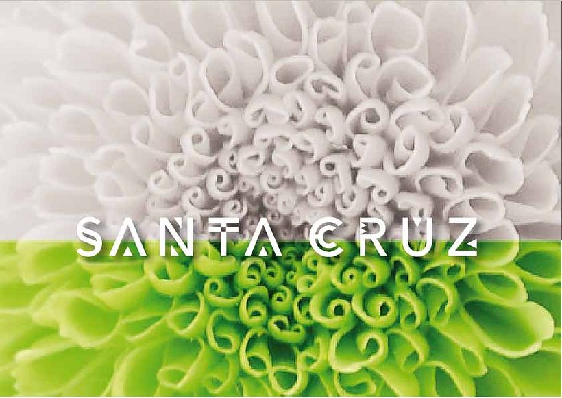 Santa Cruz de Bolivia - Diseño
