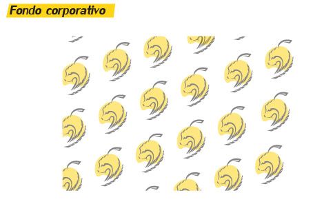 MitxuMotors 9
