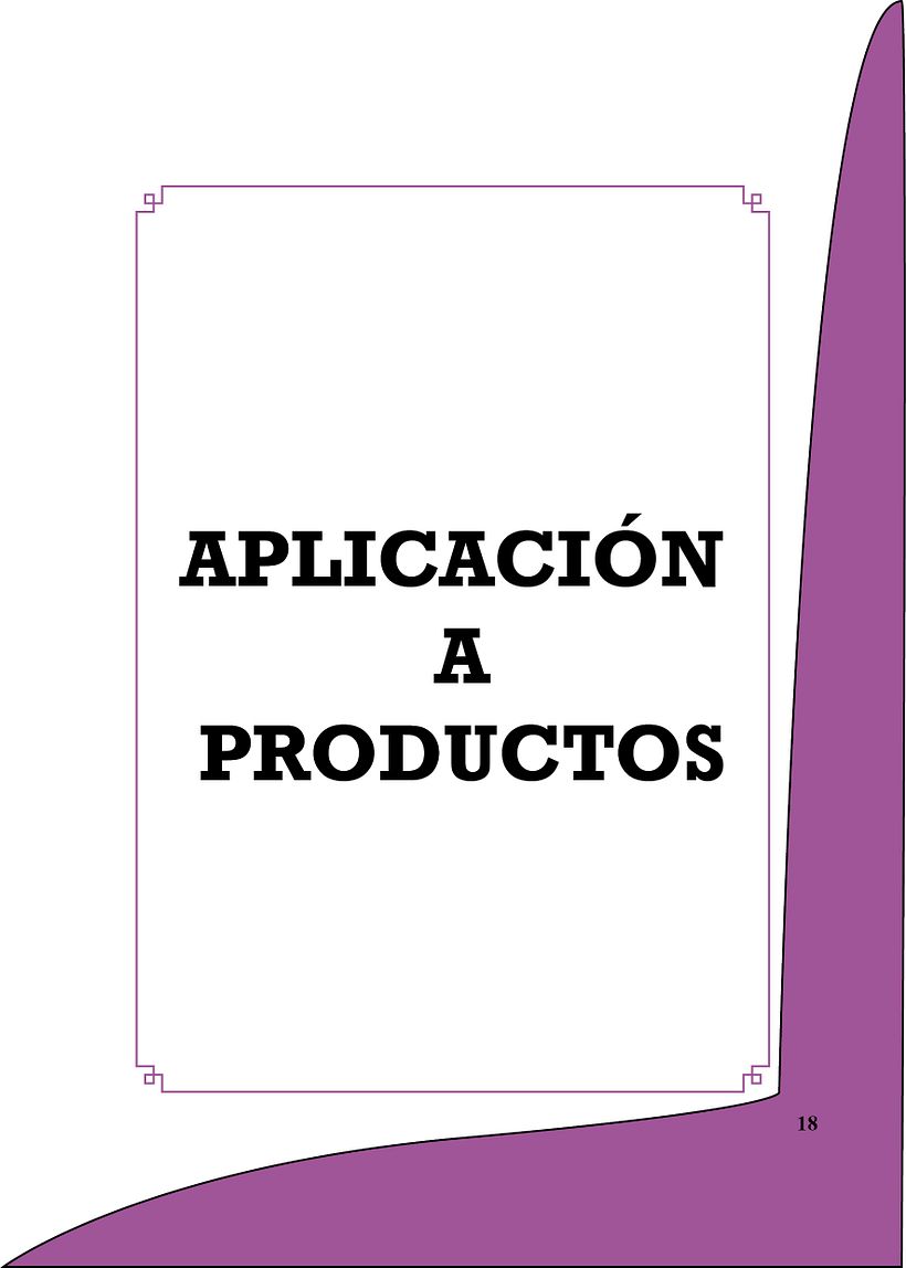 Manual Corporativo 17