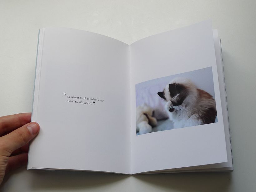 Miau 9