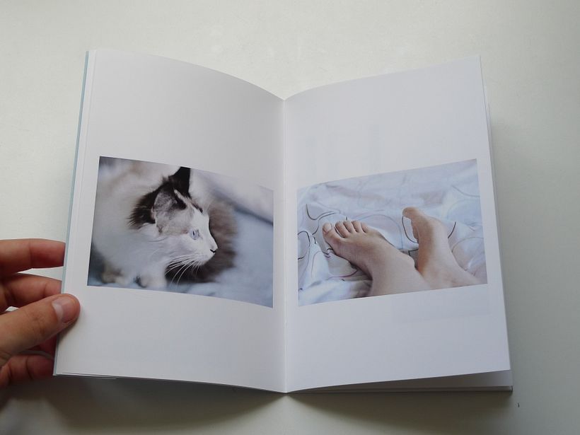 Miau 6