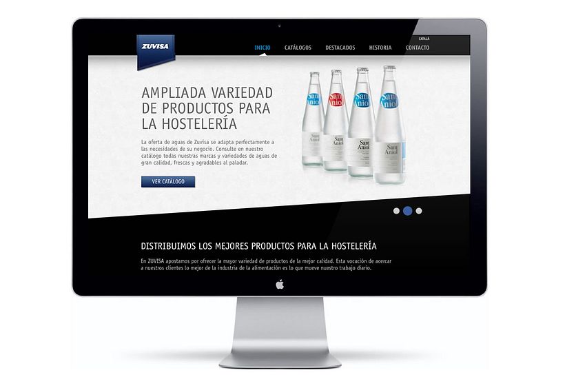 Zuvisa. Diseño web 2