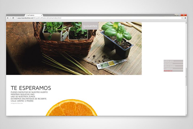 Página web La Frutería 7