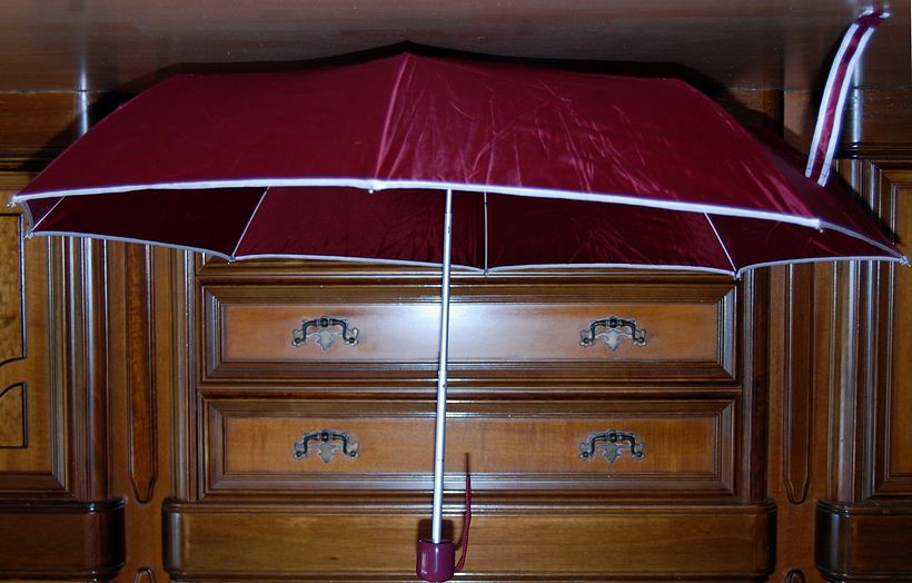 Perspectiva Cotidiana 5