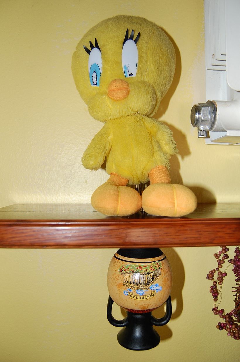 Perspectiva Cotidiana 6