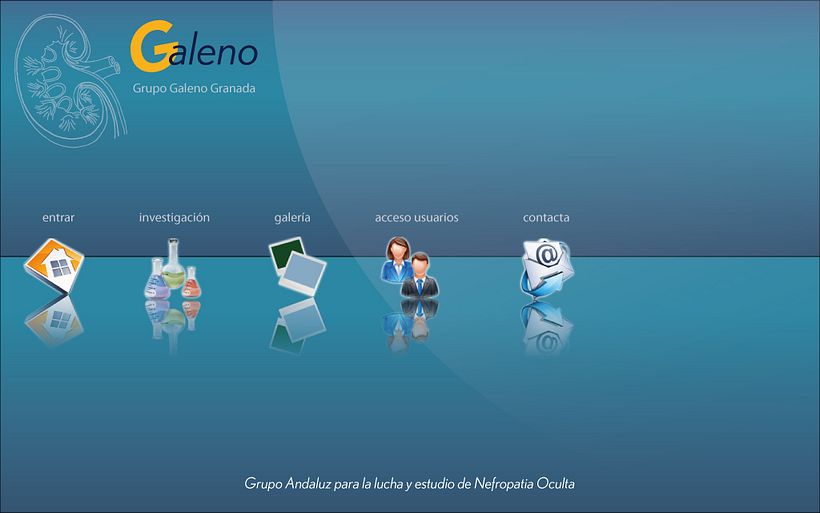 propuestas web 5