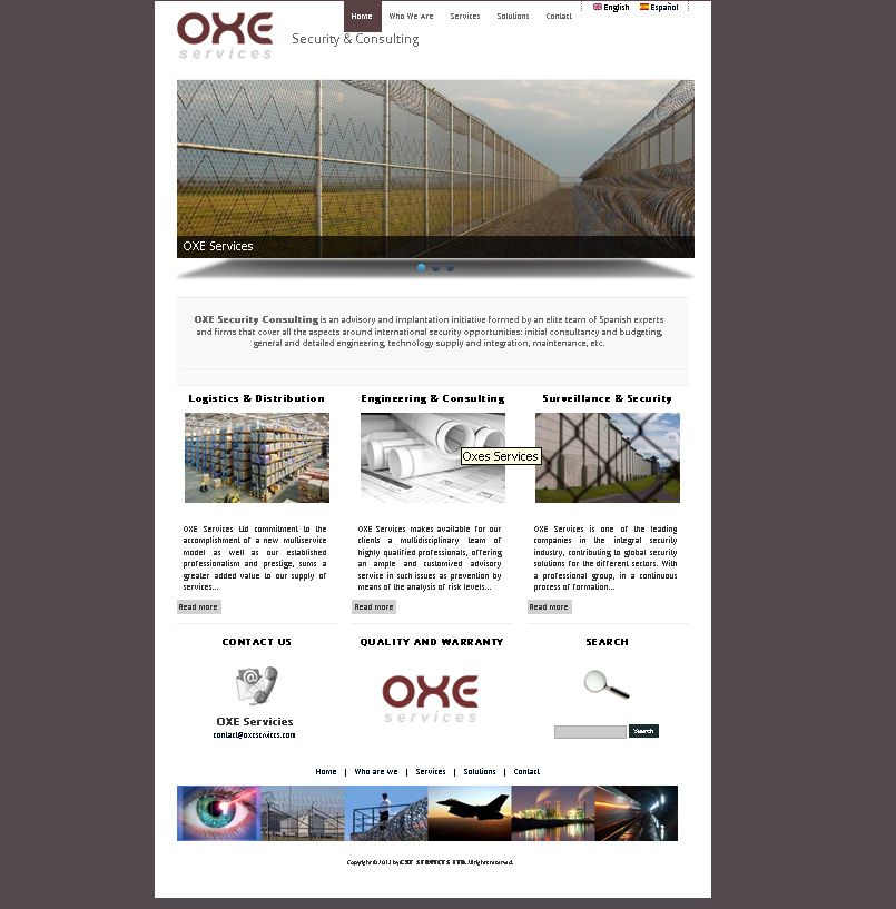 OXE SERVICES - Security & Consulting 2