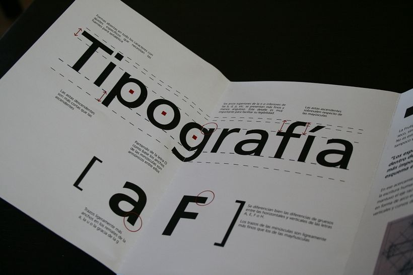 Frutiger Typography Book 7