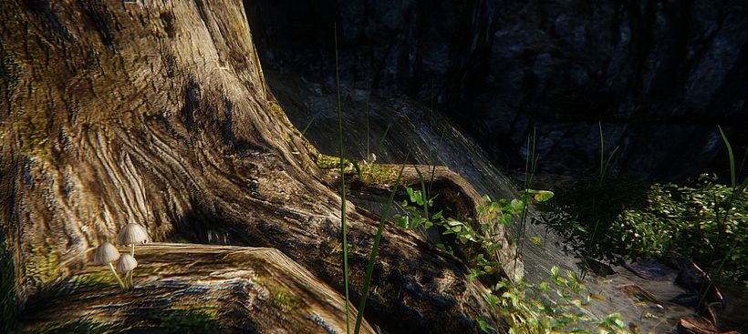 Nature 5