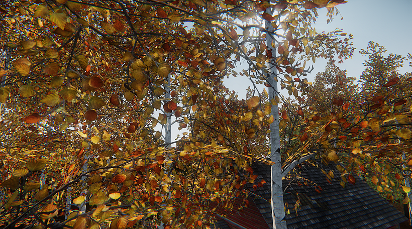 Nature 3