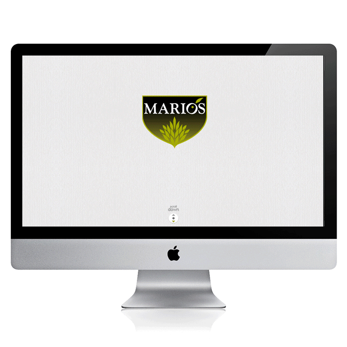 Web Mario's Olives 3
