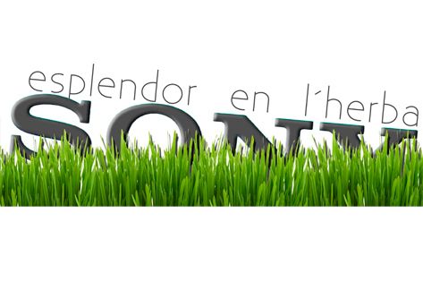 “Esplendor en l’herba” 2