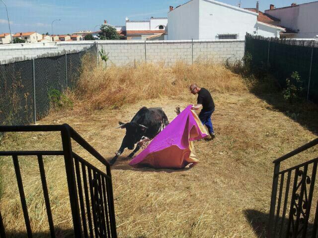Montajes 2