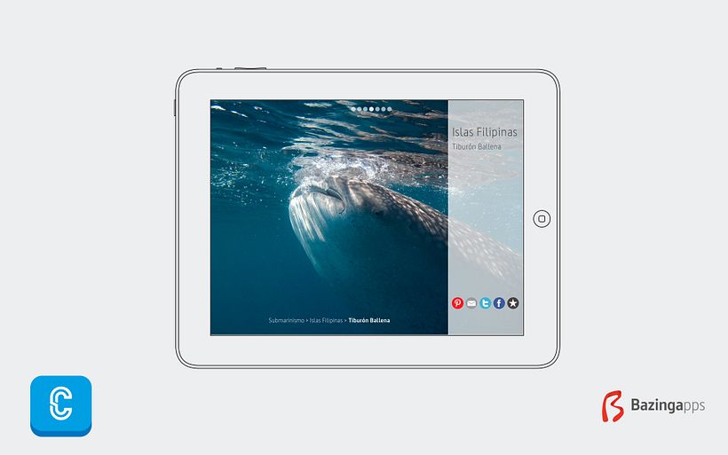 Catalogo Digigal CatalogMe 6