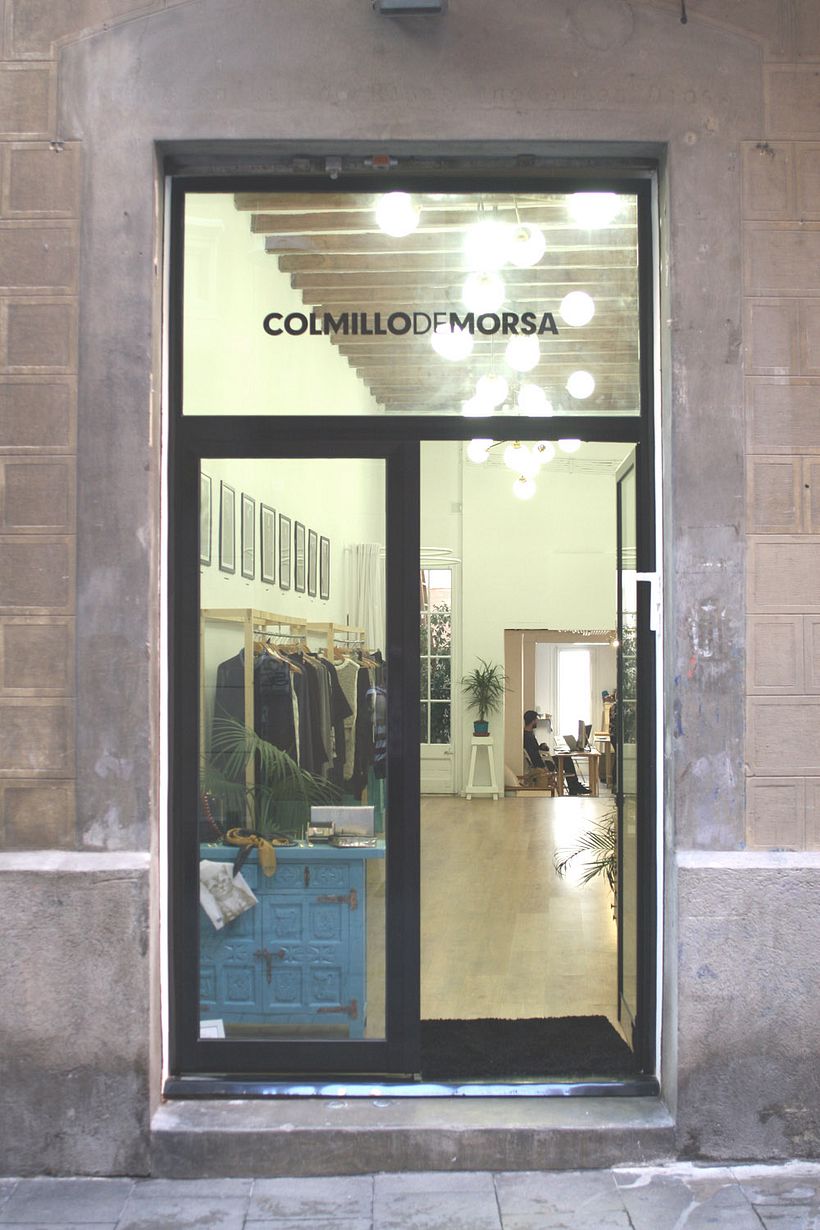 colmillodemorsa 10