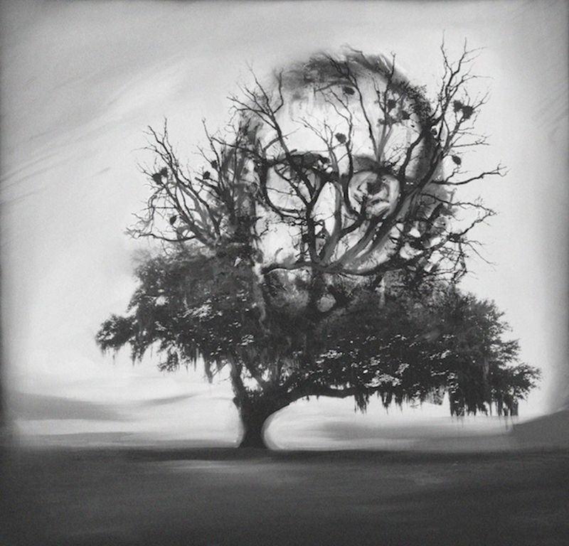 Ilustraciones para la Revista Magnolia 1