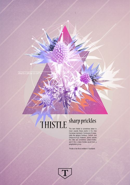 Cartel - Design
