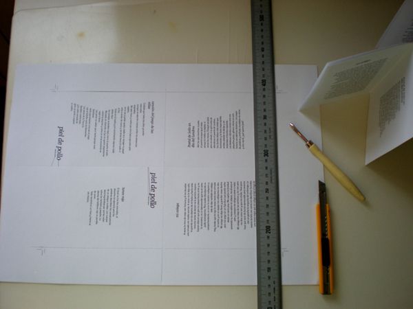 PRODUCCIÓN MANUAL RELATOS CORTOS PIEL DE POLLO -1
