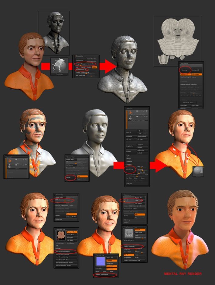 Profesor zbrush y anatomía 0