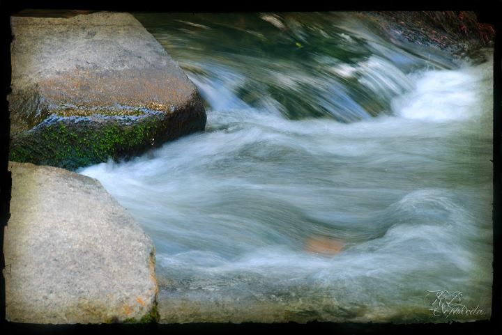 FOTOGRAFÍA 48