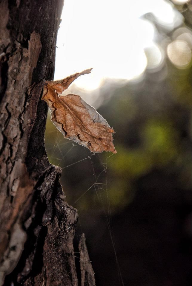 FOTOGRAFÍA 55
