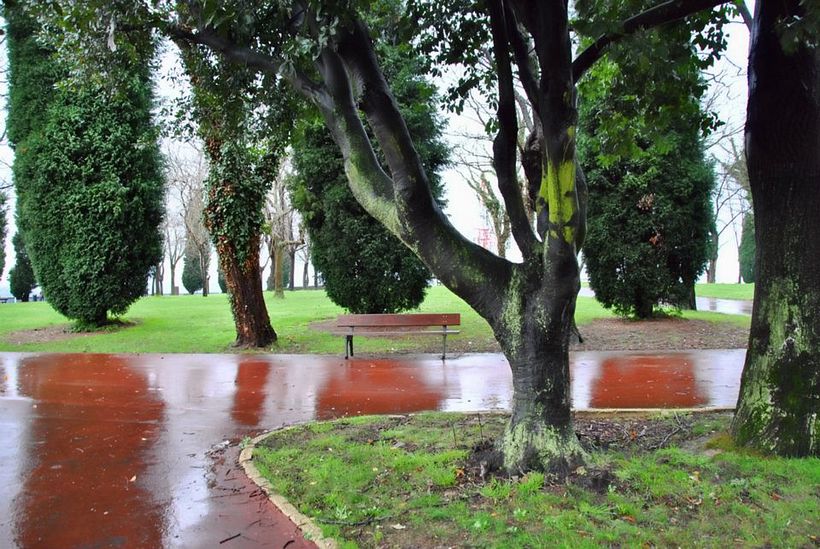 FOTOGRAFÍA 77