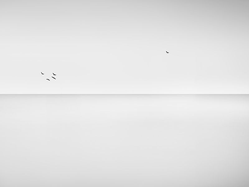 VISIONES MONOCROMÁTICAS (ANNA SEFER) 7