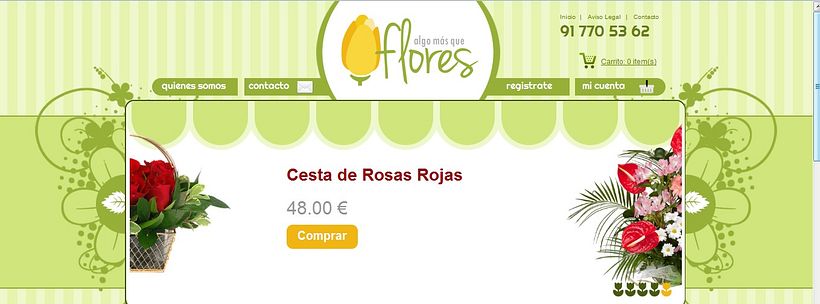 DISEÑO - DESARROLLO WEB 0
