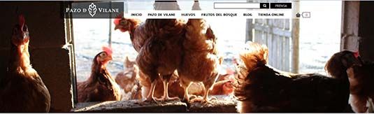 DISEÑO - DESARROLLO WEB 4